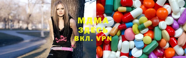 гашик Алексеевка