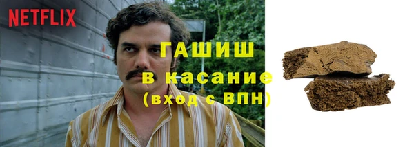 гашик Алексеевка