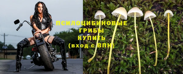 ПСИЛОЦИБИНОВЫЕ ГРИБЫ Алзамай