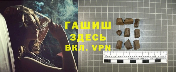 гашик Алексеевка