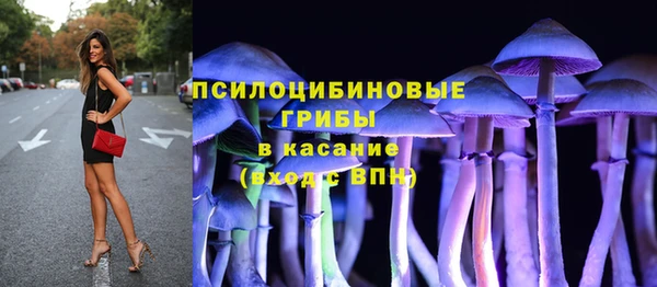 ПСИЛОЦИБИНОВЫЕ ГРИБЫ Алзамай