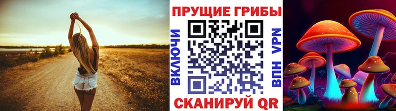 маркетплейс какой сайт  Черноголовка  Псилоцибиновые грибы Psilocybine cubensis  что такое  